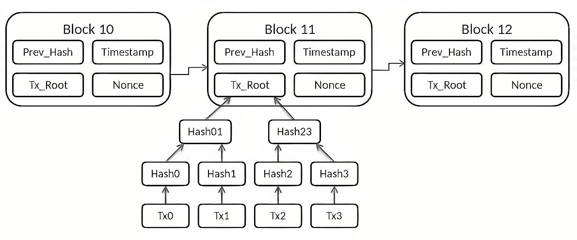 这是一张区块链结构示意图，展示了区块内容和交易数据的哈希过程。