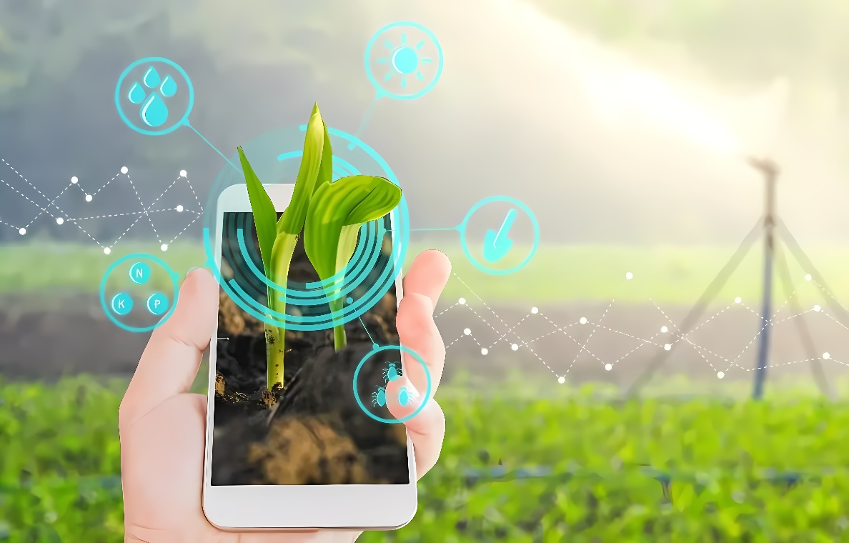 手持智能手机对准农田里的幼苗，屏幕显示植物生长信息和数据，周围有智能农业图标，背景是灌溉设备。