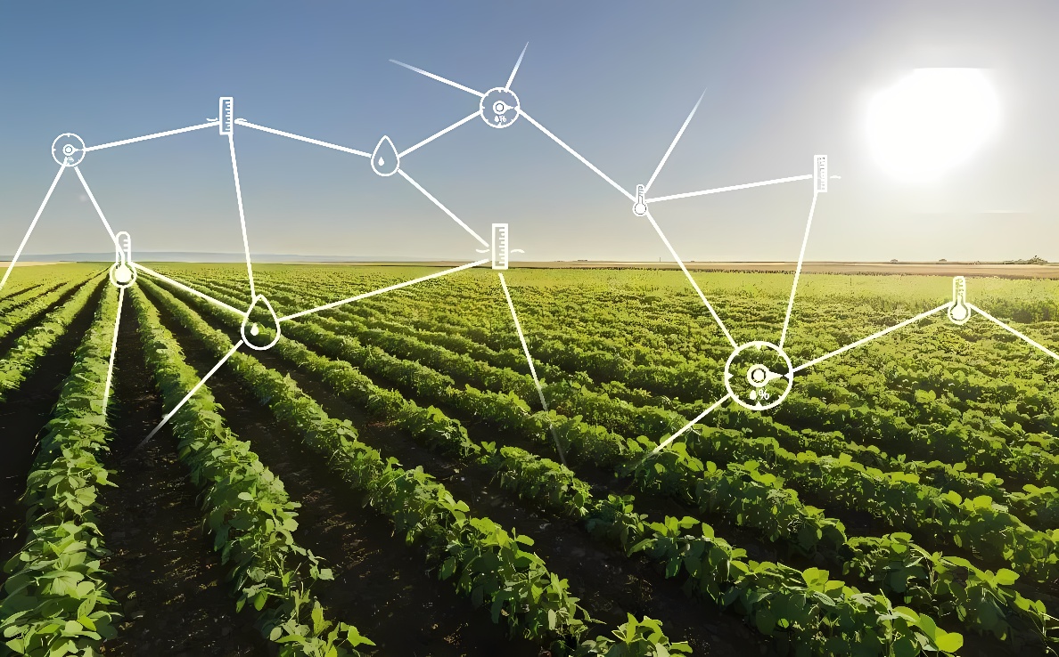 这是一张展示现代农业技术的图片，图中显示农田里的作物行间，覆盖有智能监测系统的图示，体现精准农业的概念。