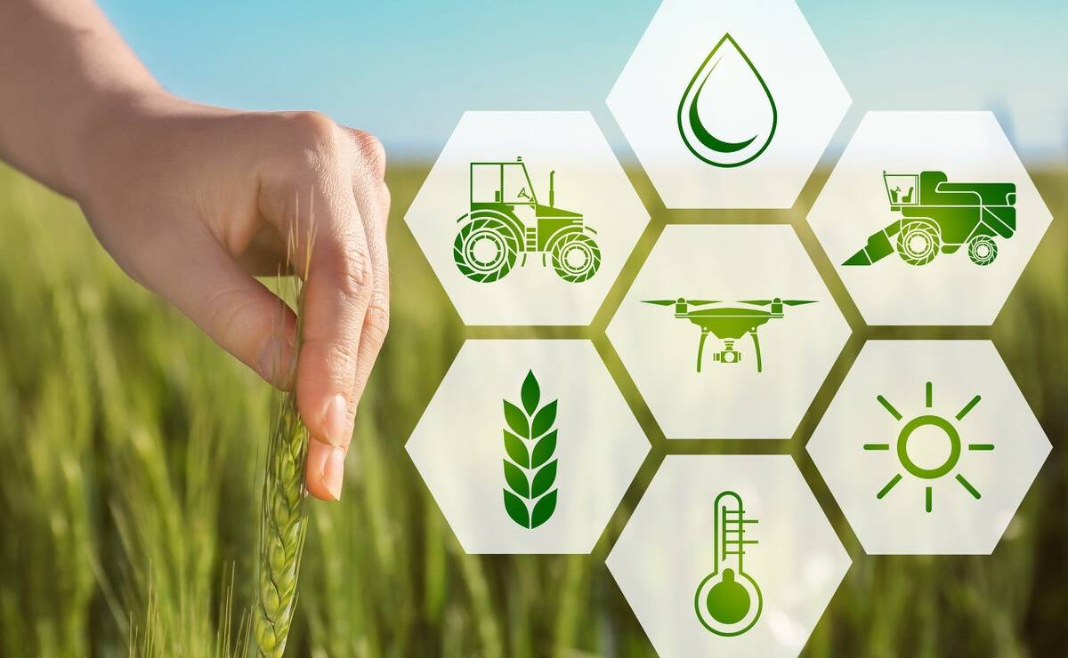 图片展示一只手触摸麦田，背景是六个代表农业技术的图标，如拖拉机、无人机，象征现代农业与自然环境的结合。