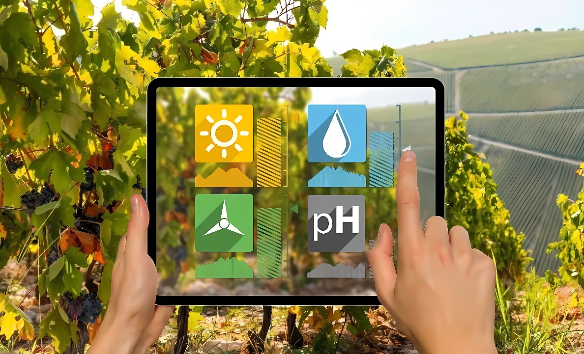 图片展示双手操作平板电脑，屏幕显示太阳、水滴、叶子和pH值图标，背景是葡萄园景色。