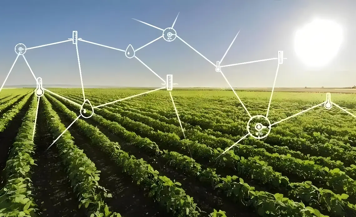 图中展示了一片农田，上方有白色的连接线和符号，可能表示现代农业技术如物联网在监控和管理作物生长。