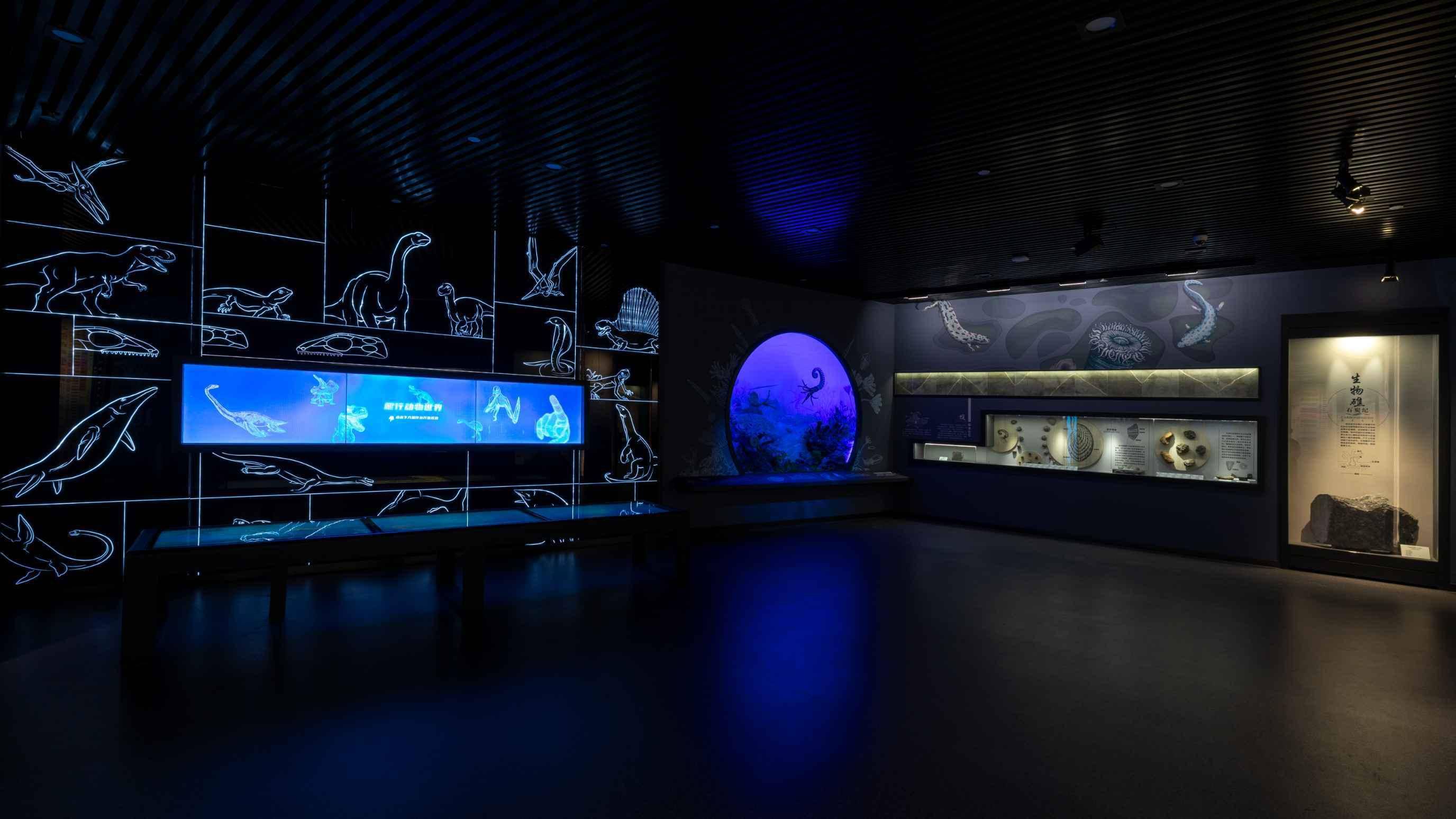 这是一个展览室内景，墙上有海洋生物的线条图案，中间展示屏幕和展示柜，灯光昏暗，营造出神秘的海底世界氛围。
