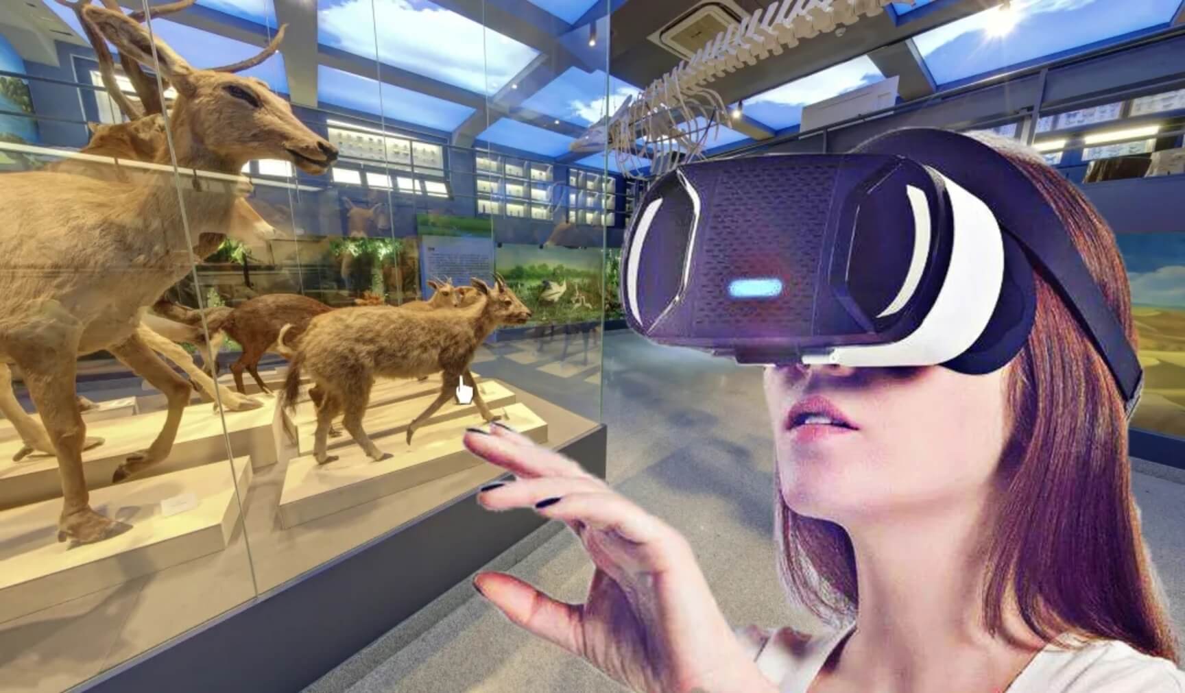 图片展示一位女士戴着虚拟现实头盔，似乎在体验虚拟世界，背景是一些动物标本和骨架，可能在博物馆。