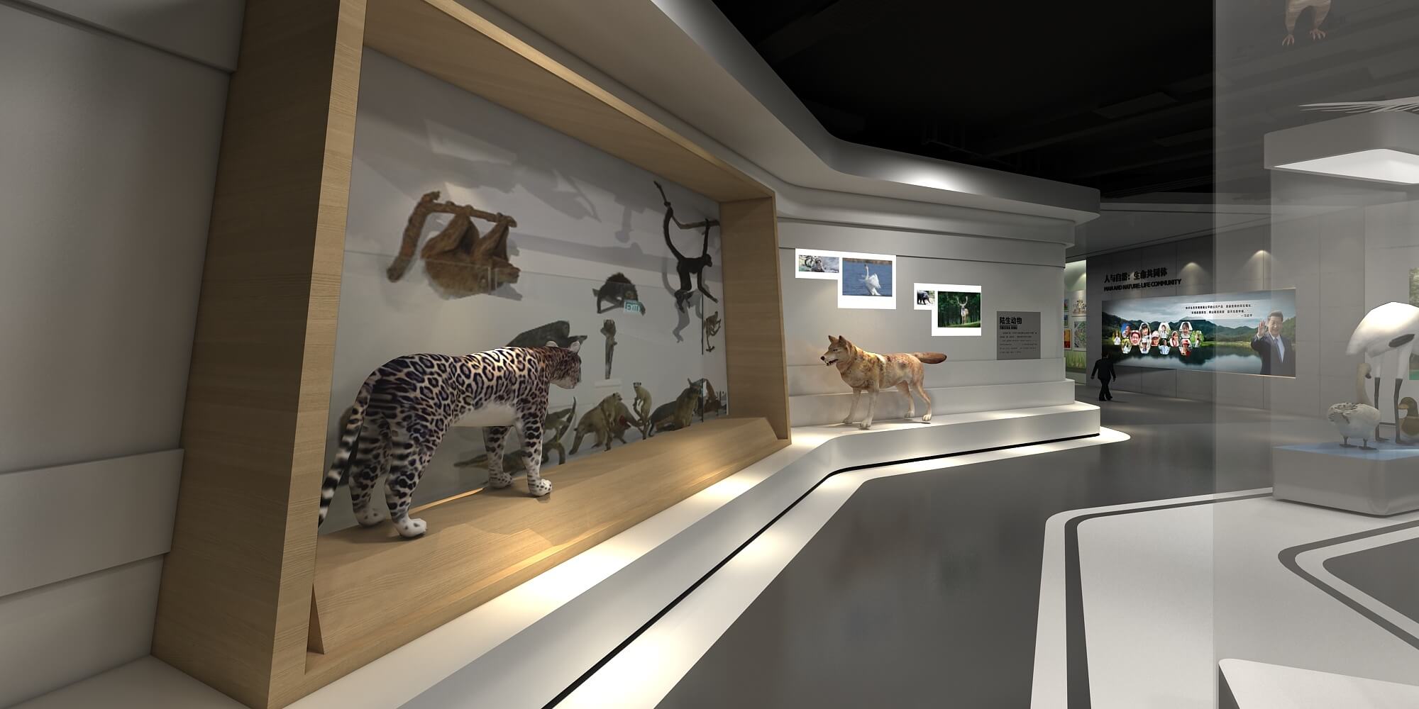 这是一张博物馆展览厅的效果图，展示了动物模型和信息板，环境现代化，设计简洁，灯光照明柔和。