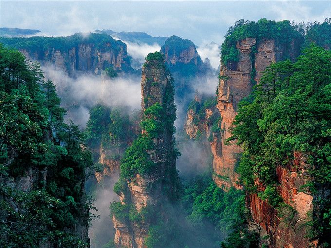 图片展示了云雾缭绕的奇特山峰，苍翠树木覆盖，自然景观神秘而壮丽，似乎是张家界国家森林公园的一部分。