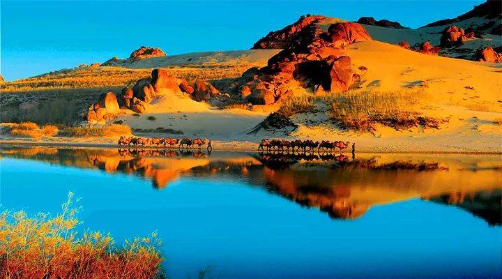 图片展示了一队骆驼行走在沙漠边缘，河水映照着天空与沙丘，夕阳下的景色宁静而美丽。