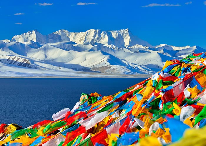 图片展示五彩经幡迎风飘扬，前景鲜艳对比着背后连绵雪山和蔚蓝天空，展现出藏区自然与文化的和谐之美。