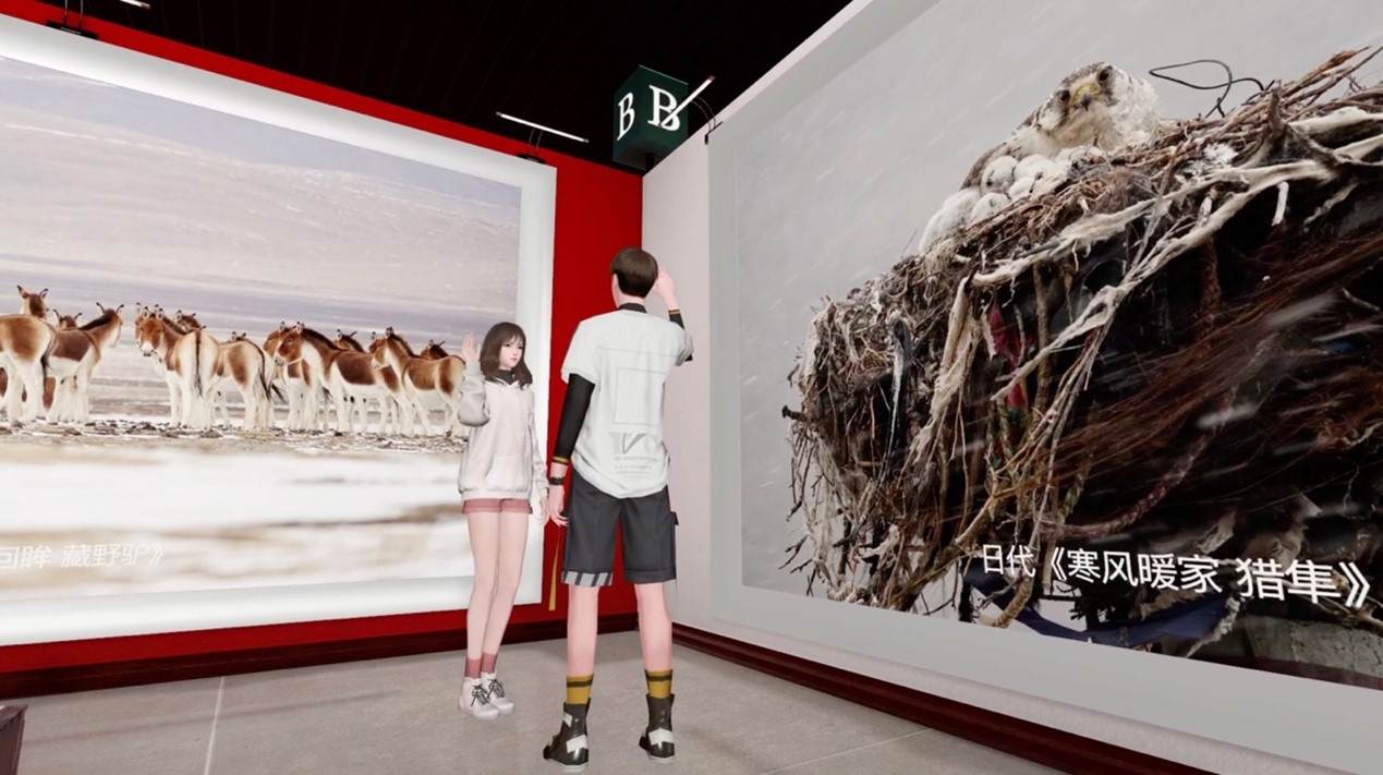 图片展示了两位观众站在艺术画廊内，观看挂在墙上的自然风光摄影作品，作品展示了野生动物和自然环境。