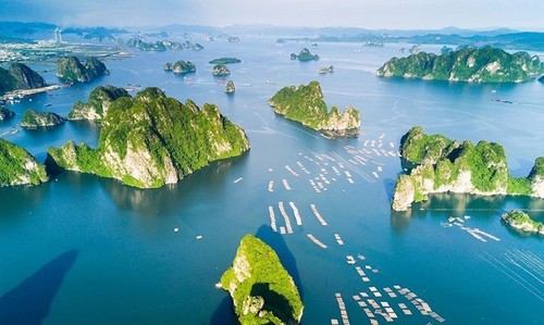 图片展示了一片海域，海面上散布着众多岛屿，岛屿间有许多船只穿梭，景色宁静而美丽。