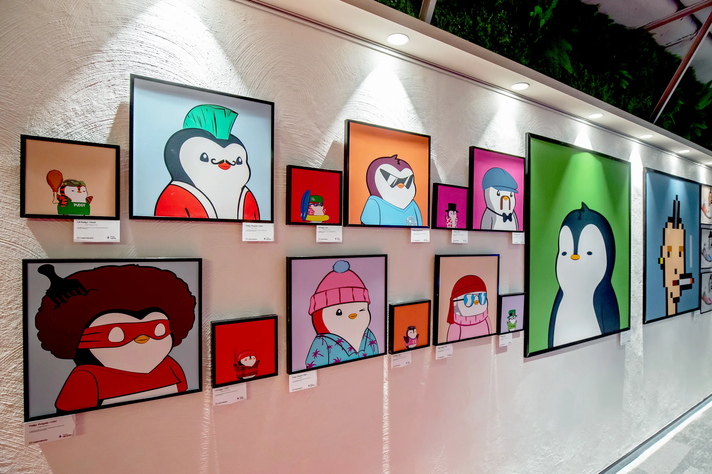 这是一排挂在墙上的卡通画像，画框整齐排列，每幅画下方都有说明标签，画面色彩鲜明，展现不同的卡通人物和动物。