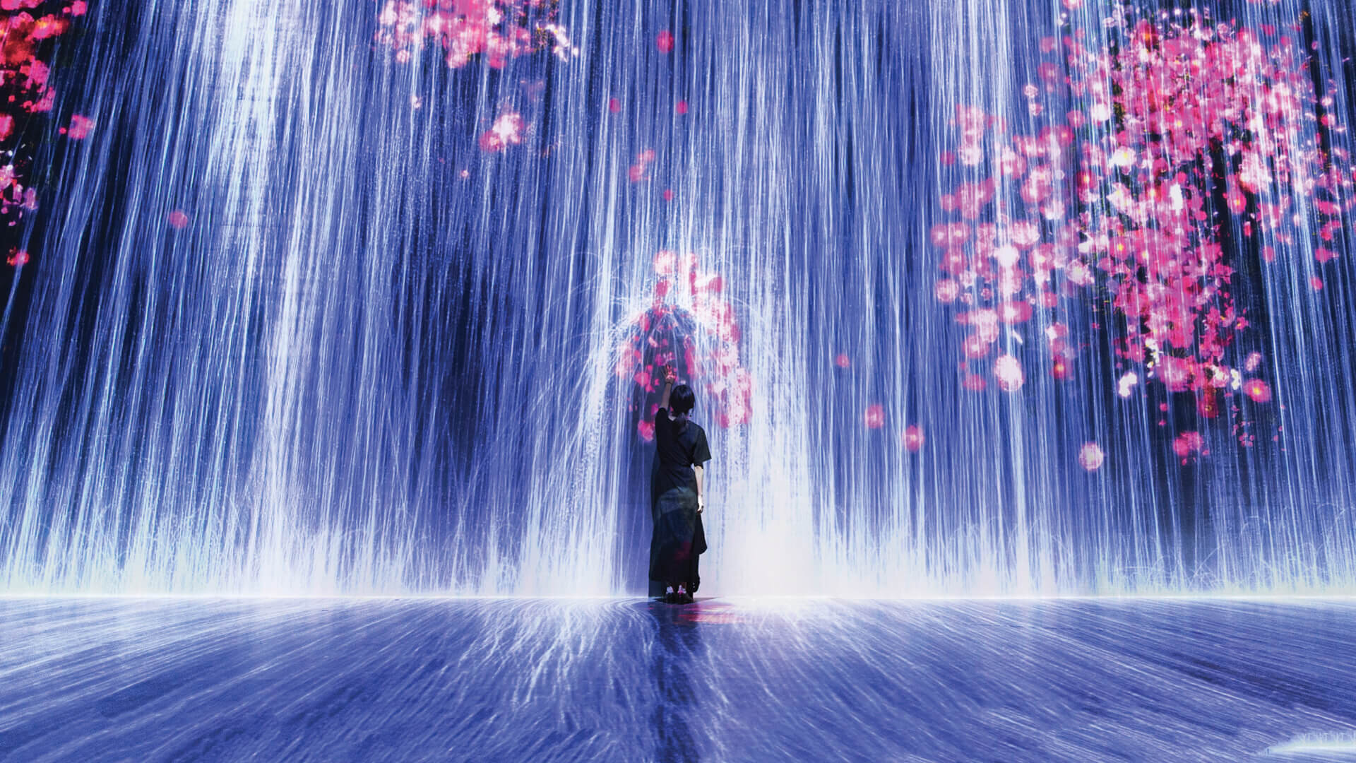 图片展示一人站在光影交错的艺术装置中，四周是流动的蓝色光带和飘落的粉红色花瓣，营造出梦幻般的视觉效果。