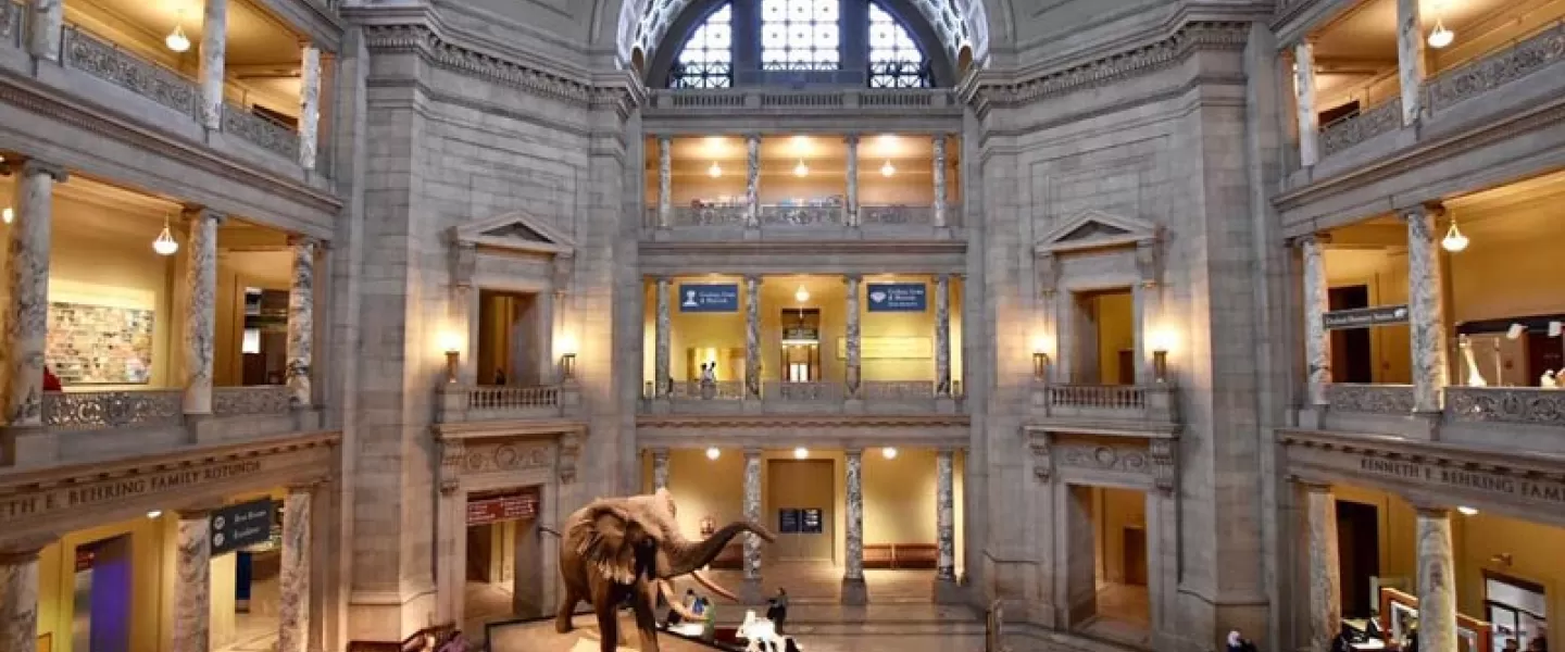 这是一座博物馆的宽敞大厅，中央展示着一座大型猛犸象模型，四周是多层展览空间，建筑风格古典，顶部有天窗。