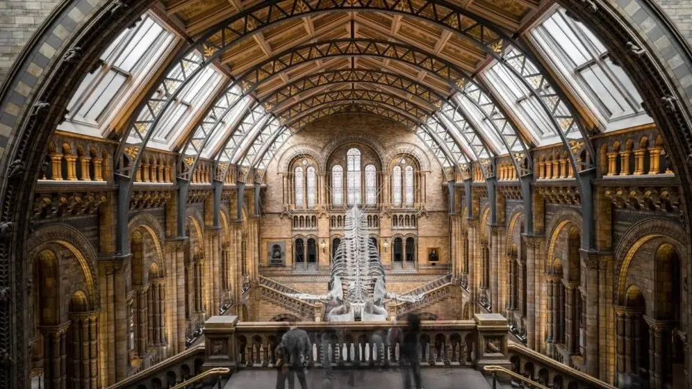 图片展示了一座宏伟的博物馆内部，中央有一副巨大骨架，周围是精致的拱门和天花板结构，几位游客正在参观。
