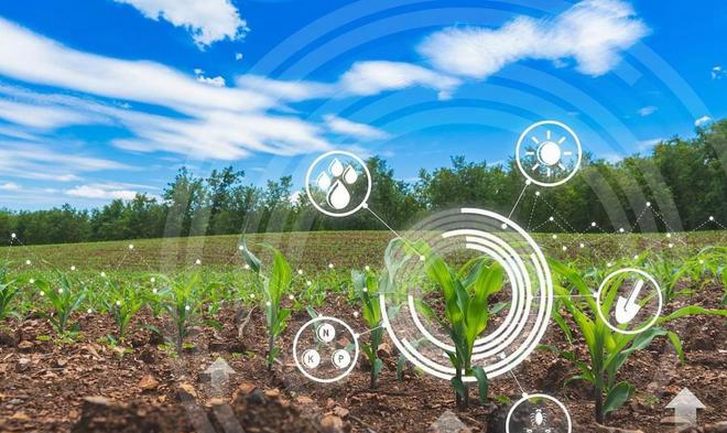 这是一张结合了现实与数字元素的图片，展示了农田里生长的植物和上方虚拟的农业科技图标，如气候和土壤信息。