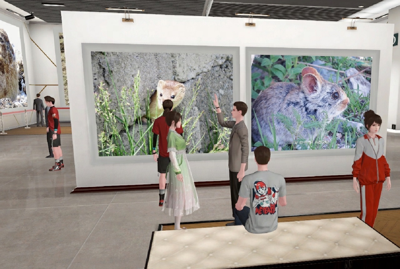 这是一张艺术画廊内的照片，几位参观者正在观看展出的两幅大型动物摄影作品，分别是一只獾和一只鼠类。