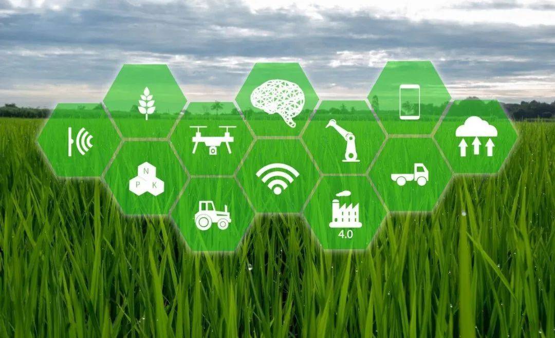 人工智能和虚拟现实技术助力农业发展